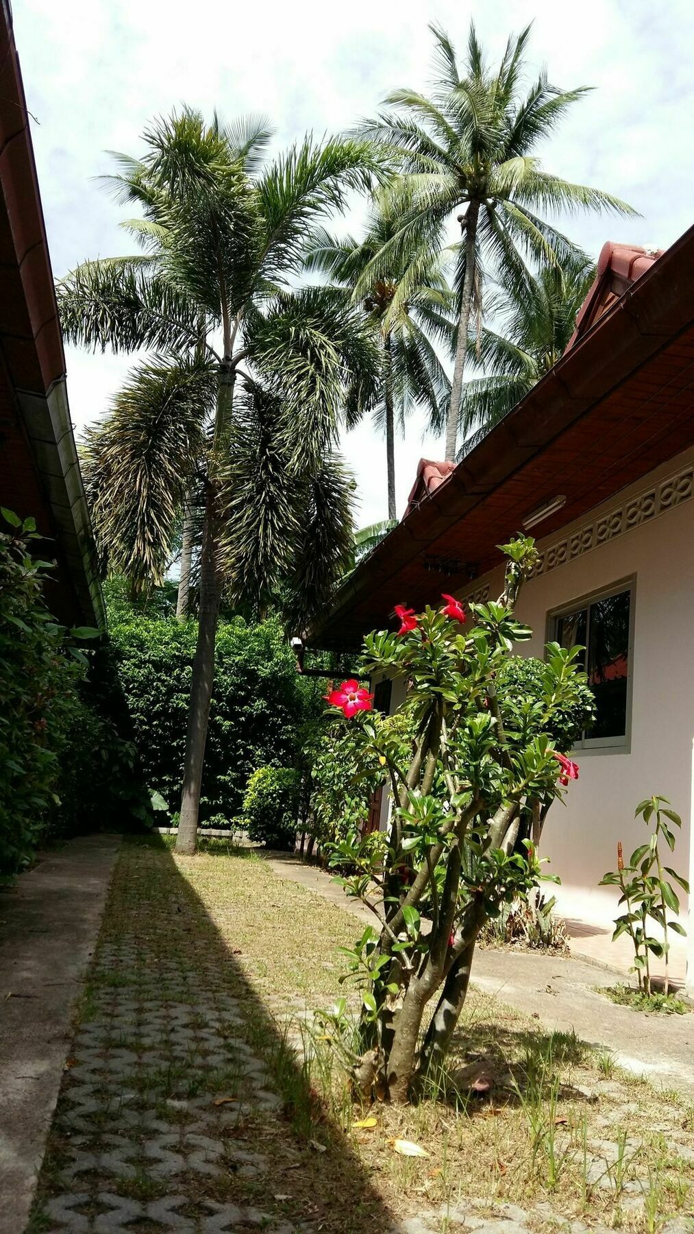 Saver Guesthouse Chaweng  Exterior photo