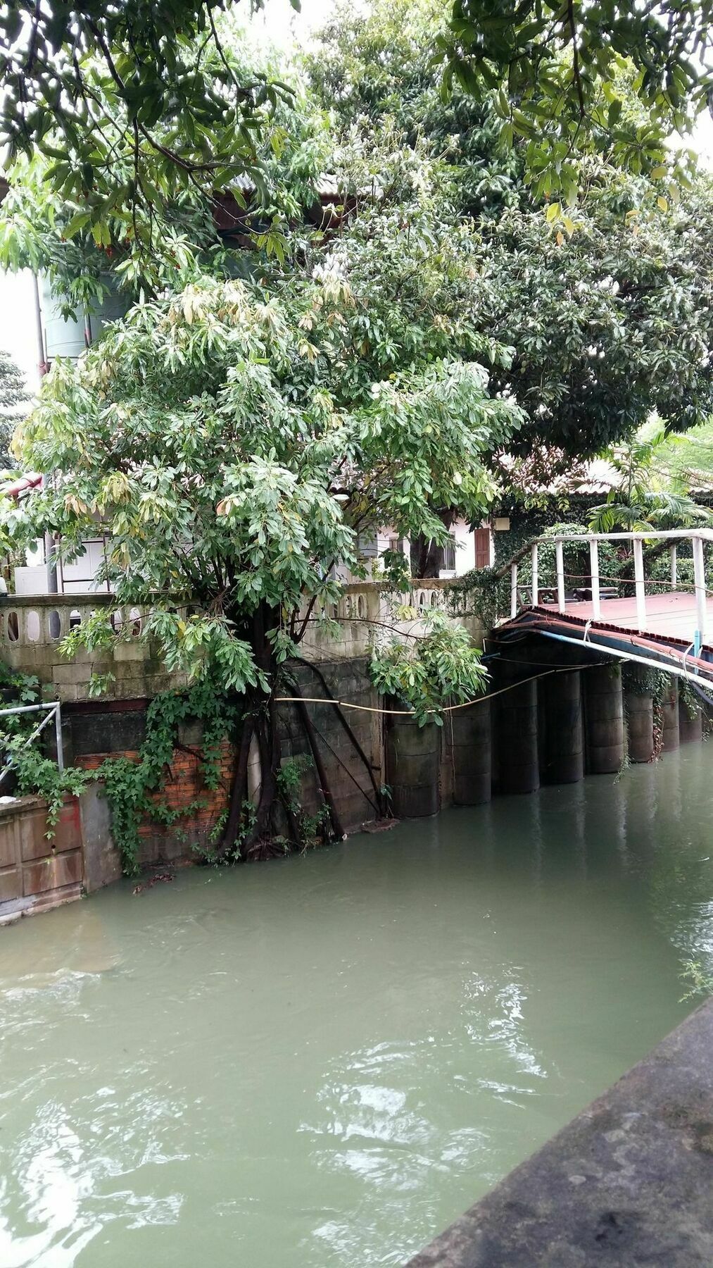 Saver Guesthouse Chaweng  Exterior photo